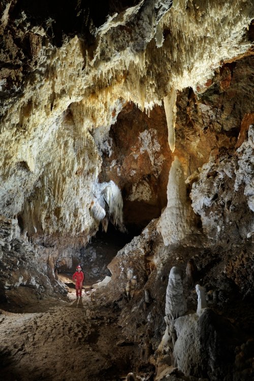 Grotte des Canalettes (Pyrénées Orientales) - Grande galerie concrétionnée(SP-12-0886 )